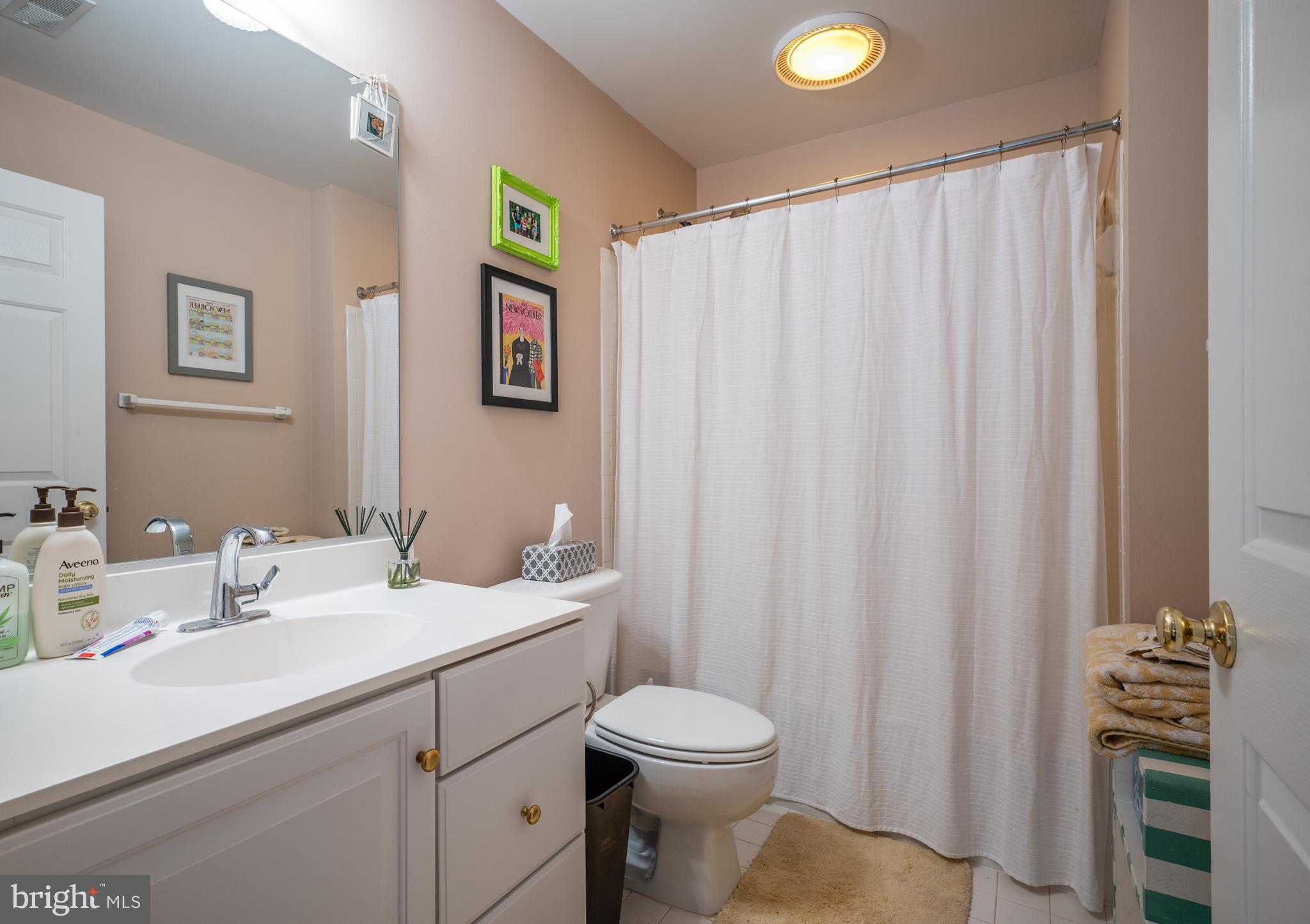 259 Murtha Street Alexandria, VA 22304 - Photo 34 of 48 Full Hall Bathroom with Tub Shower