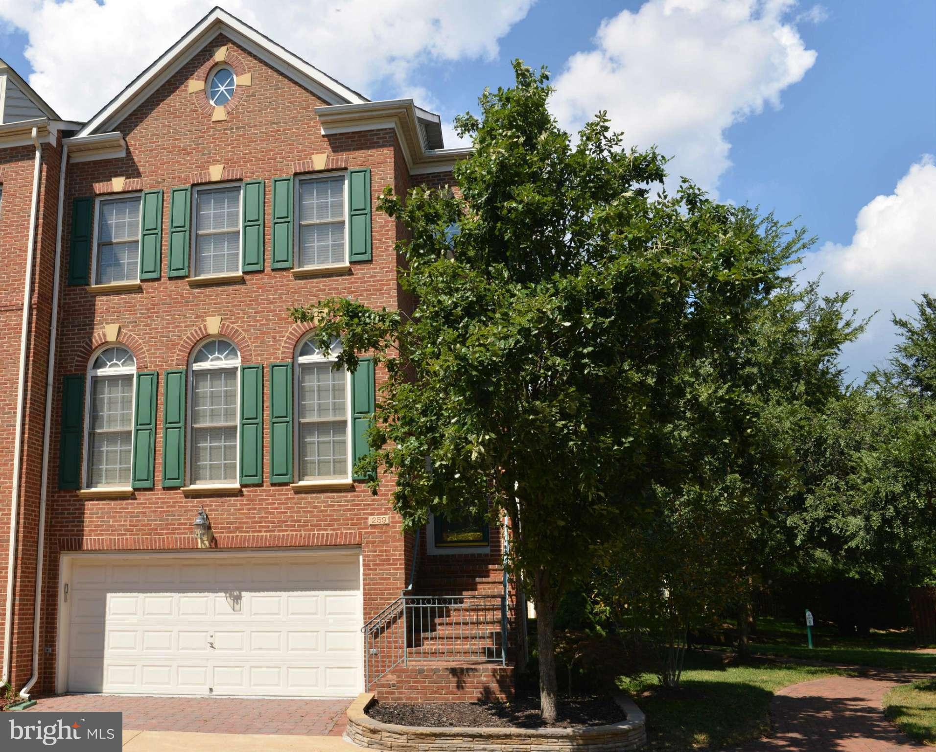 259 Murtha Street Alexandria, VA 22304 - Photo 7 of 48 Nestled in Trees