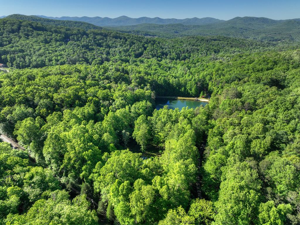 11 Mattie Mitchell Road Morganton, GA 30560 - Photo 57 of 64