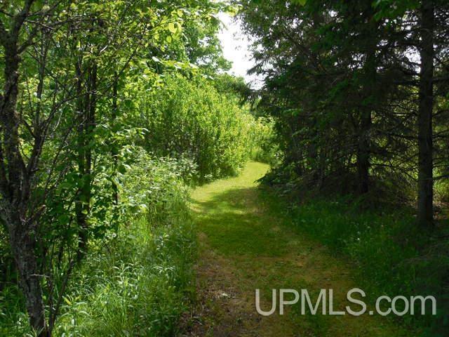 8814 Rousseau Road Mass City, MI 49948 - Photo 19 of 36