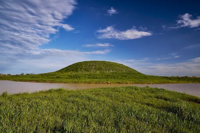 a view of a room with a lot of flowers