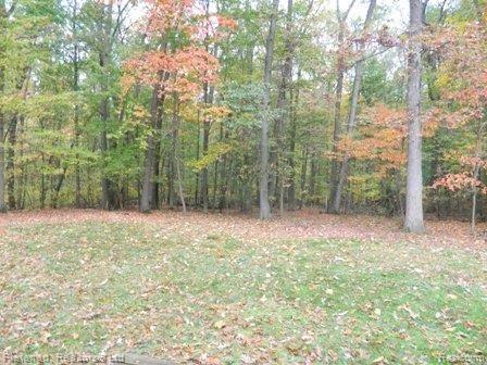 2341 West Rattalee Lake Road Holly, MI 48442 - Photo 9 of 11 backyard