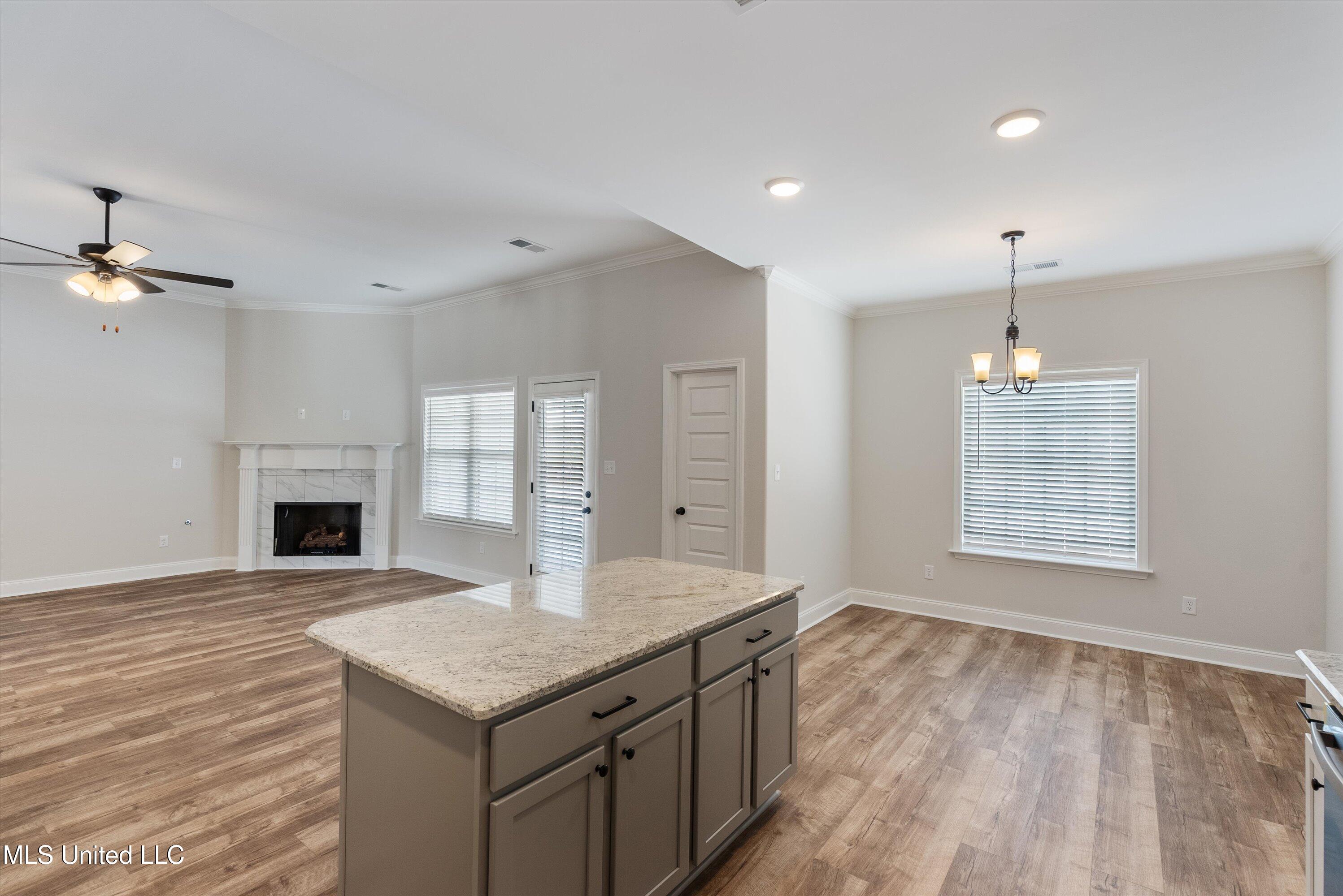 939 Collie Drive Hernando, MS 38651 - Photo 10 of 23 07-DSC05804_1