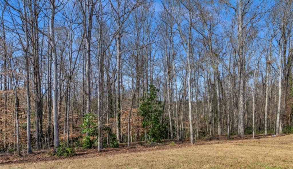 160 Grafton Street Hampton, GA 30228 - Photo 14 of 15 a backyard of a house with plants and trees