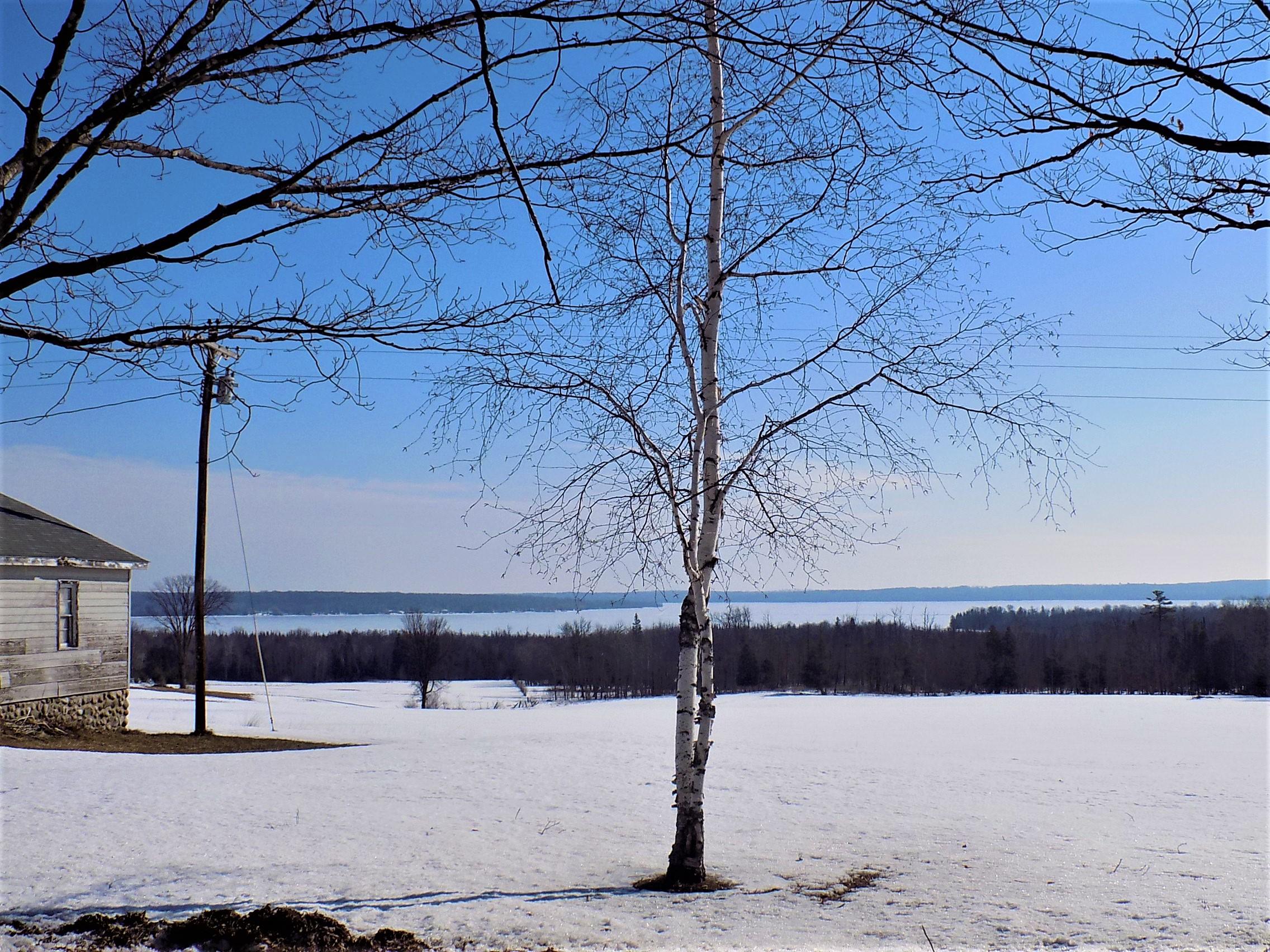 9575 Farrier Road Hillman, MI 49746 - Photo 24 of 29 Gallery Image 24
