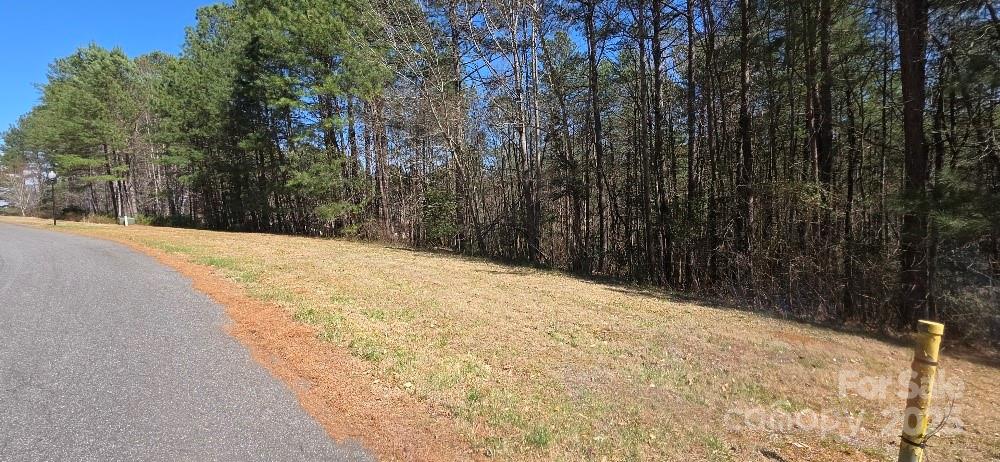208 Ridge Top Drive Connelly Springs, NC 28612 - Photo 3 of 13 a view of a backyard of the house
