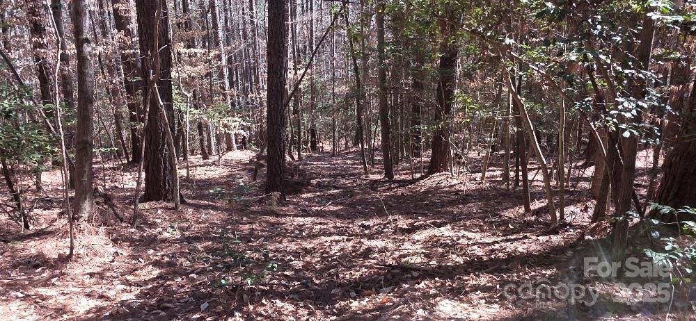 208 Ridge Top Drive Connelly Springs, NC 28612 - Photo 4 of 13 a view of outdoor space with trees