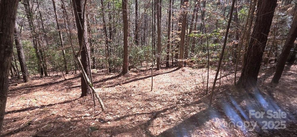 208 Ridge Top Drive Connelly Springs, NC 28612 - Photo 7 of 13 a view of a yard with trees
