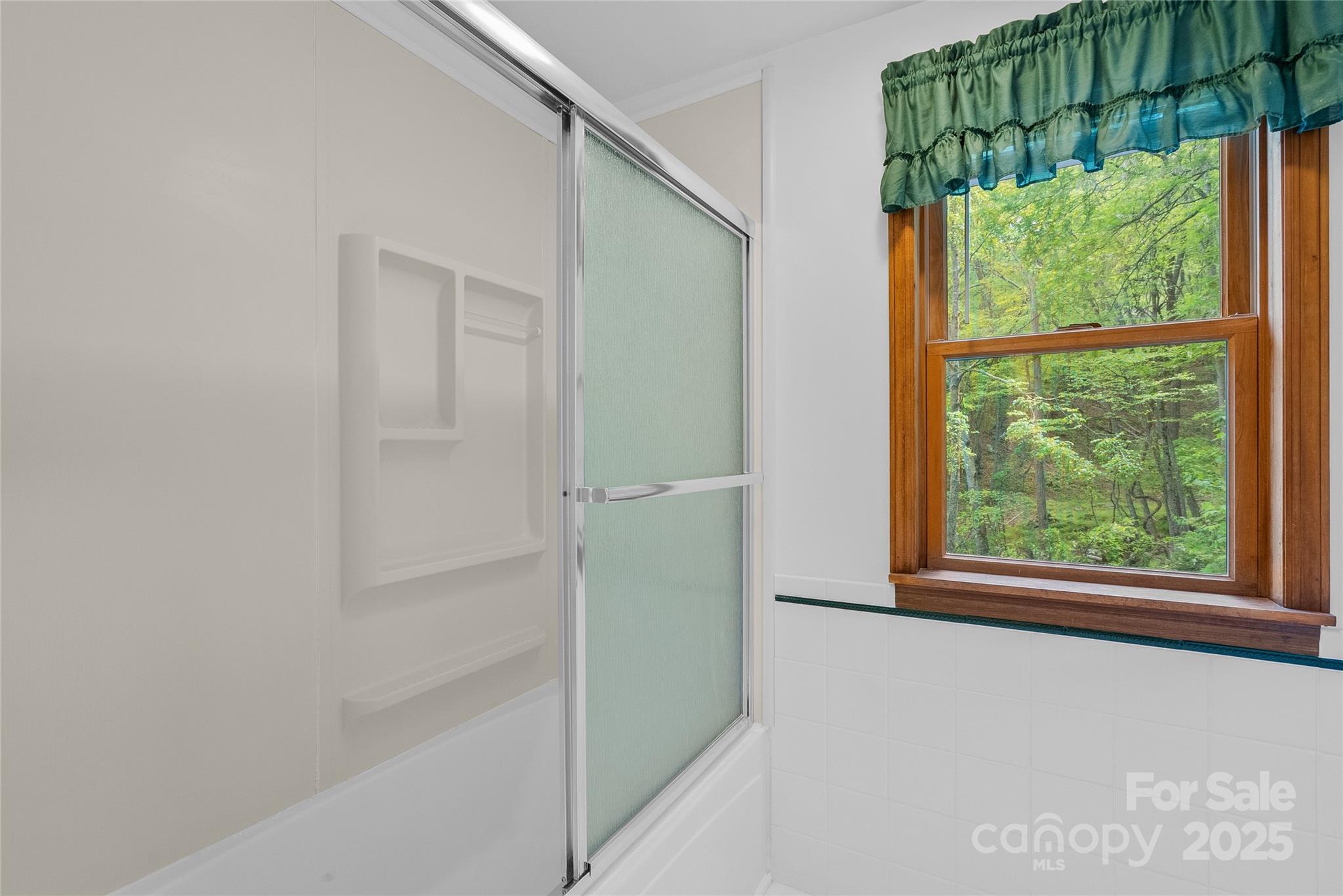 315 Morgan Branch Road Leicester, NC 28748 - Photo 19 of 28