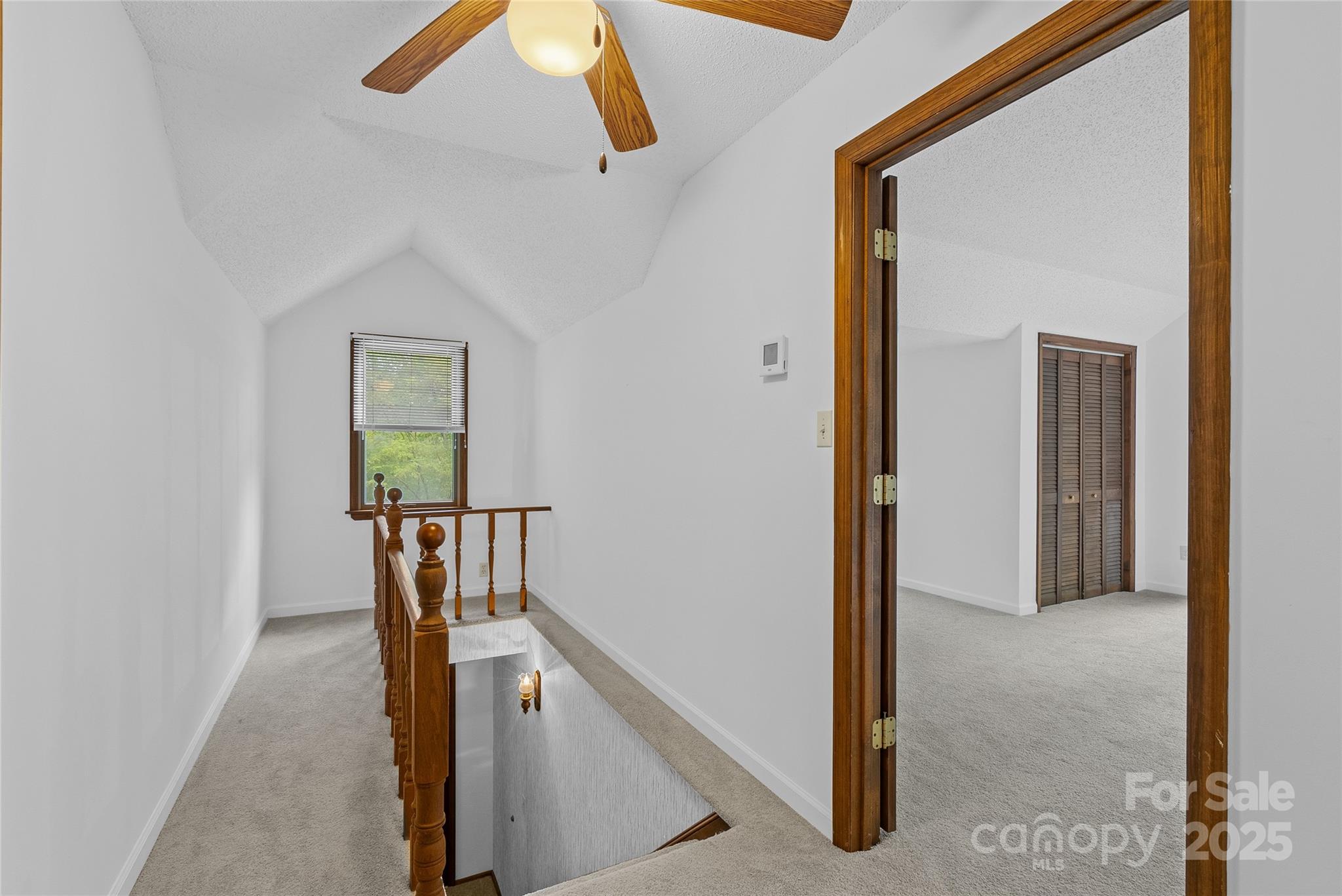 315 Morgan Branch Road Leicester, NC 28748 - Photo 22 of 28