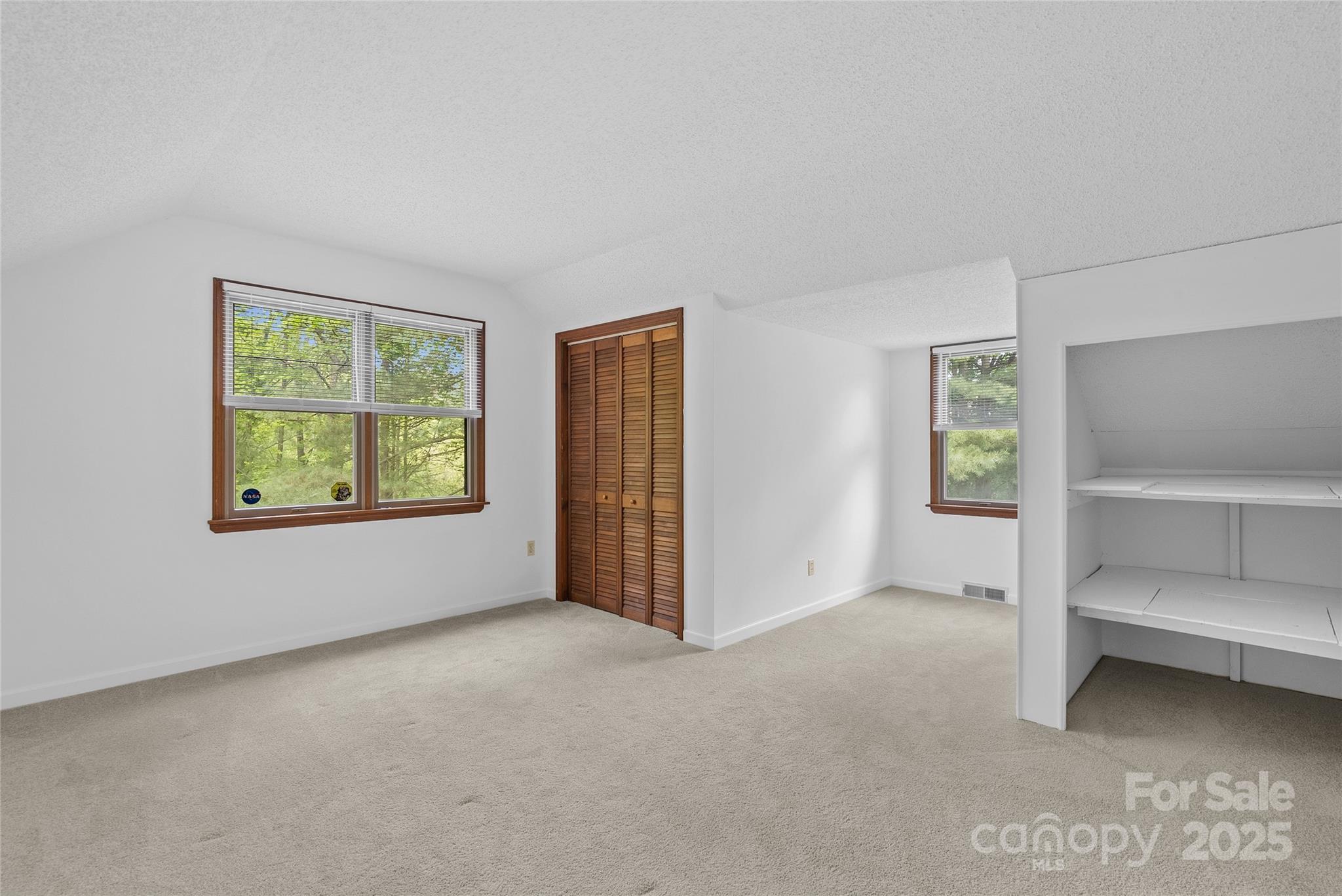 315 Morgan Branch Road Leicester, NC 28748 - Photo 25 of 28