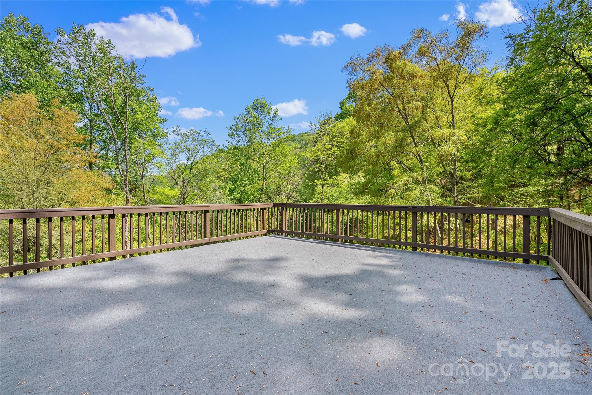 315 Morgan Branch Road Leicester, NC 28748 - Photo 9 of 28