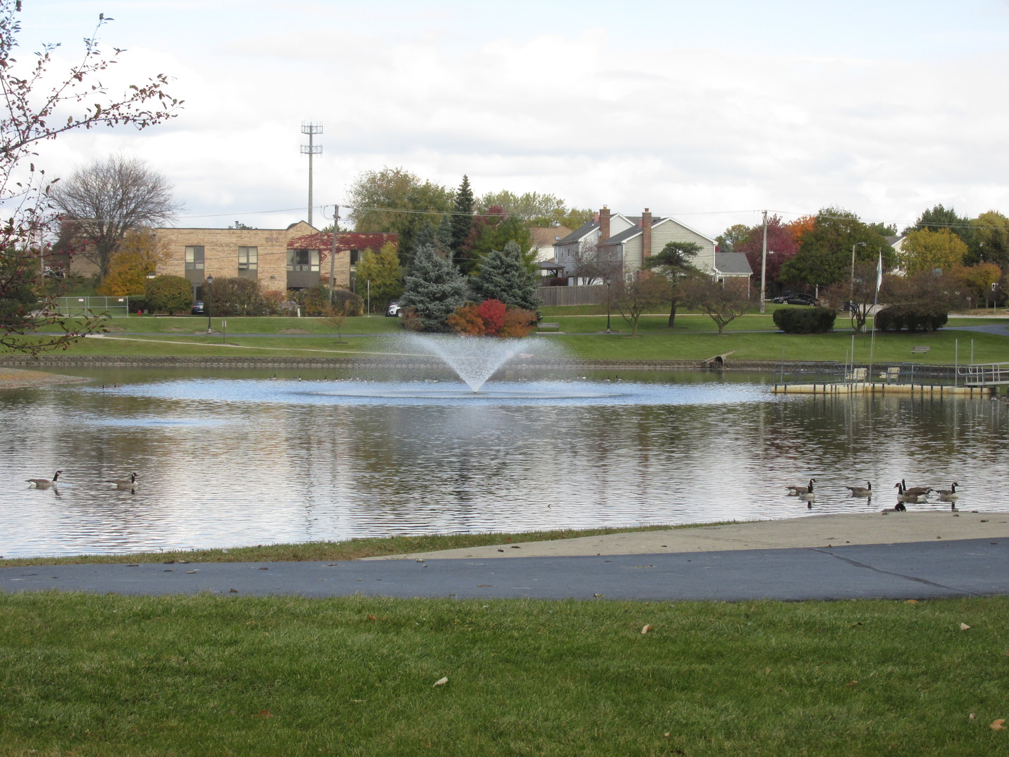 220 Walter Drive Roselle, IL 60172 - Photo 25 of 27