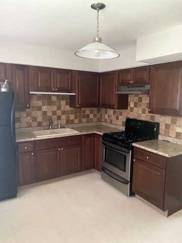 220 Walter Drive Roselle, IL 60172 - Photo 4 of 27