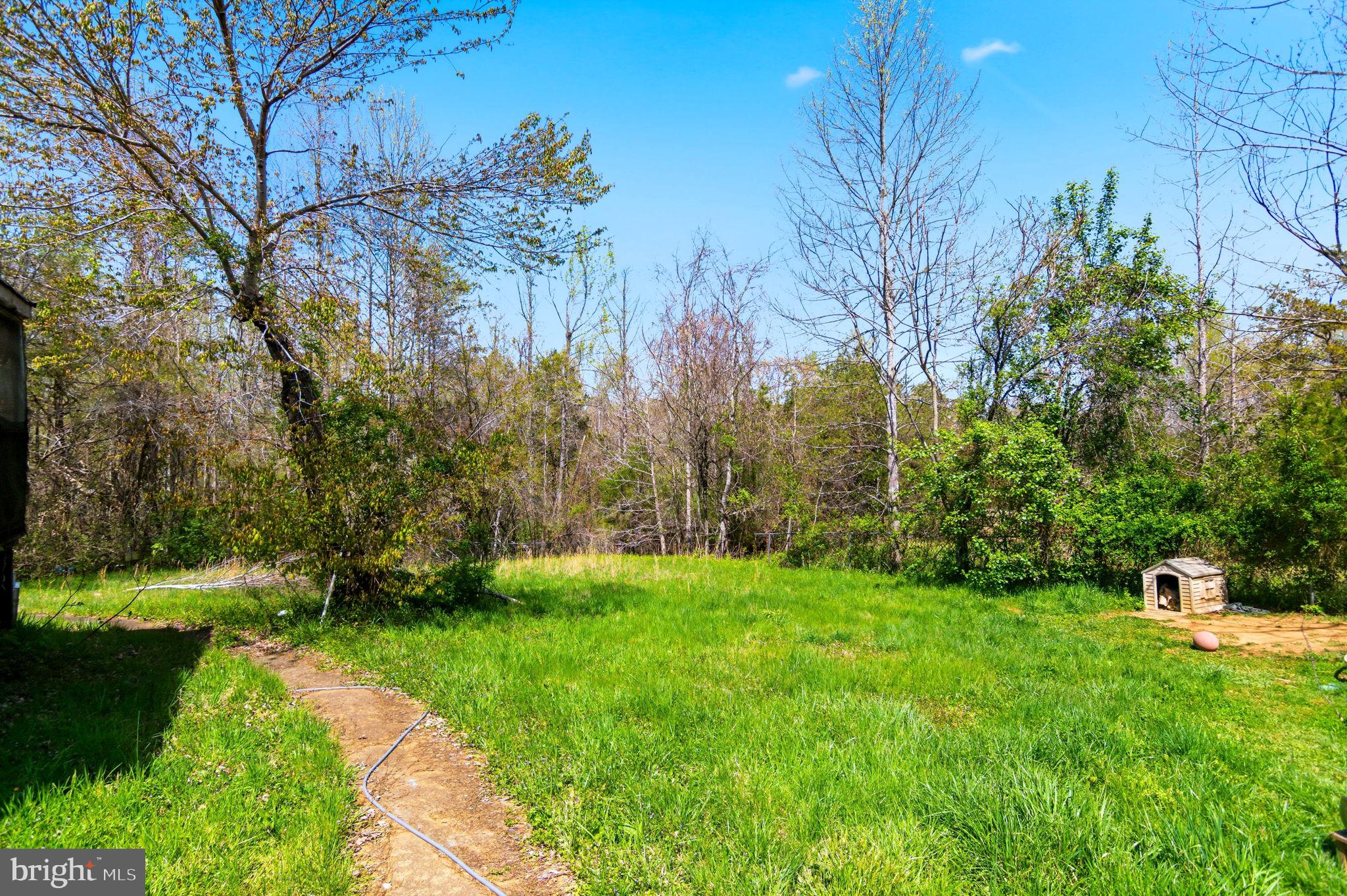 2263 Buckner Road Bumpass, VA 23024 - Photo 15 of 26 Serene green space awaits your vision.