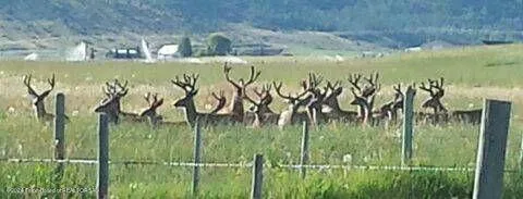 $235,000 | Lot 6 Fox Den Lane, Smoot, WY 83126