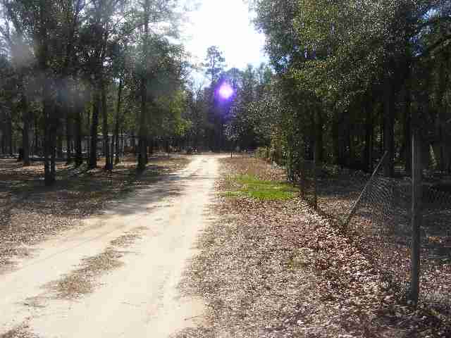 1021 Oak Ridge Road West, Unit NONE Woodville, FL 32305 - Photo 3 of 7