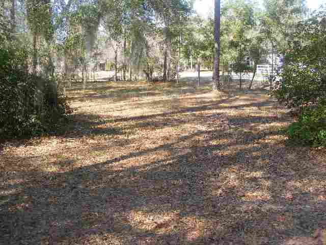 1021 Oak Ridge Road West, Unit NONE Woodville, FL 32305 - Photo 4 of 7