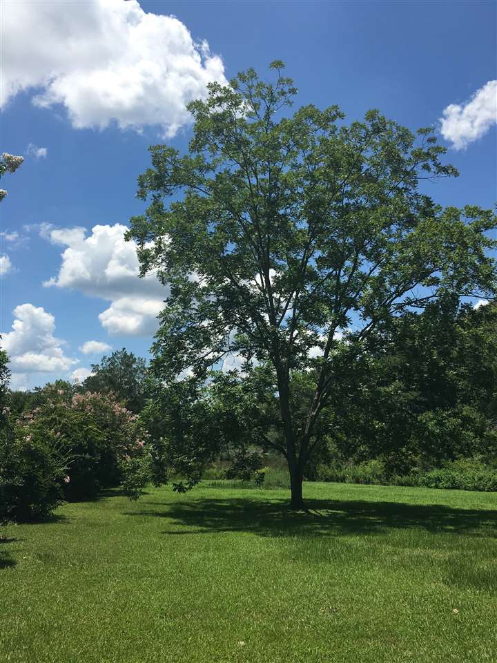 3225 Concord Road Havana, FL 32333 - Photo 2 of 34 Gallery Image 2