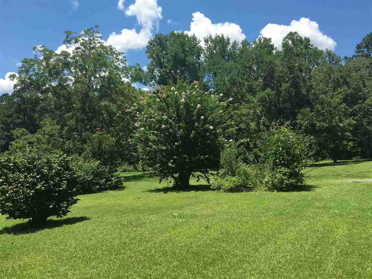 3225 Concord Road Havana, FL 32333 - Photo 3 of 34 Gallery Image 3