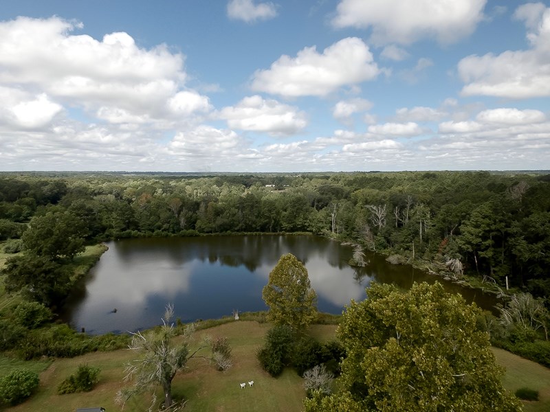 3225 Concord Road Havana, FL 32333 - Photo 34 of 34 Gallery Image 34