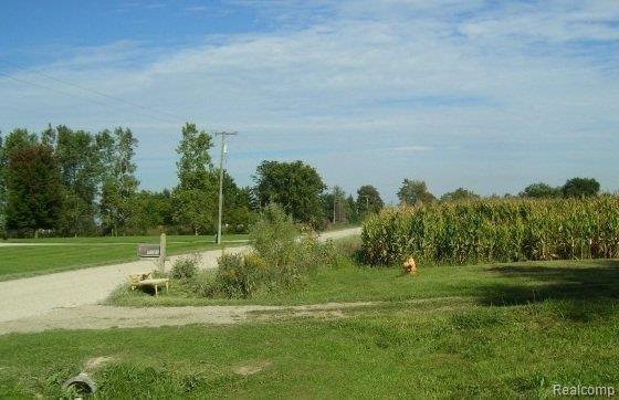 7981 Scofield Road Maybee, MI 48159 - Photo 6 of 7 899019474 Street view.jpg