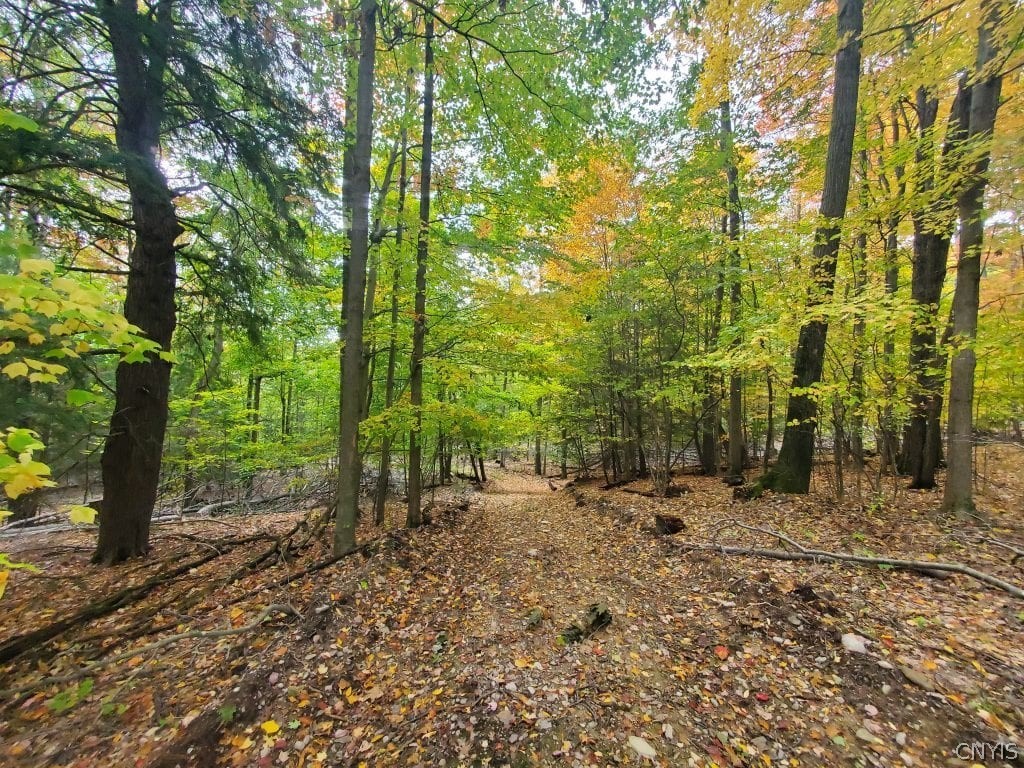 0 Reddy Hollow Road Arkport, NY 14807 - Photo 1 of 1