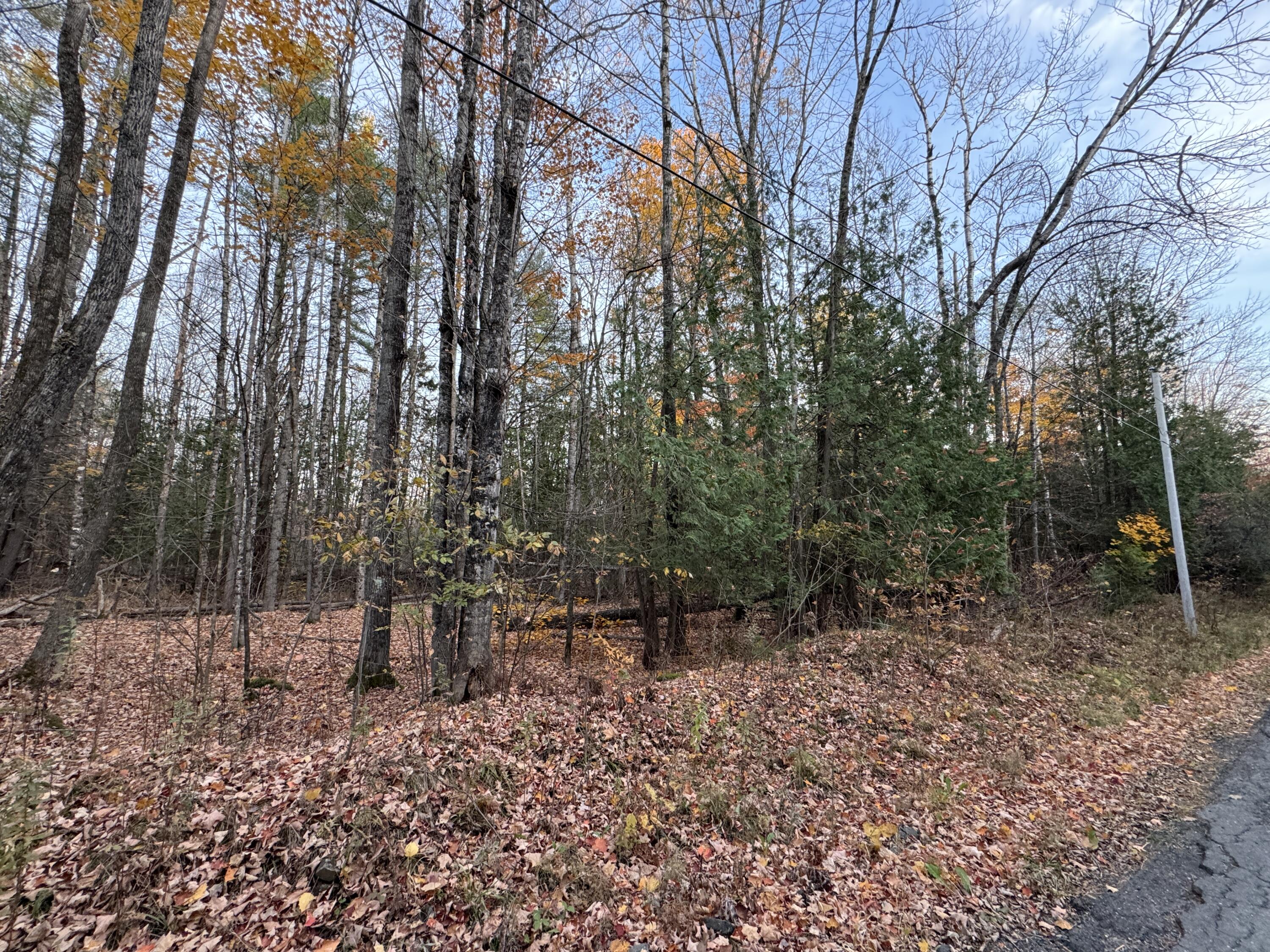 Lot # Wing Road Dexter, ME 04930 - Photo 8 of 8 IMG_6307