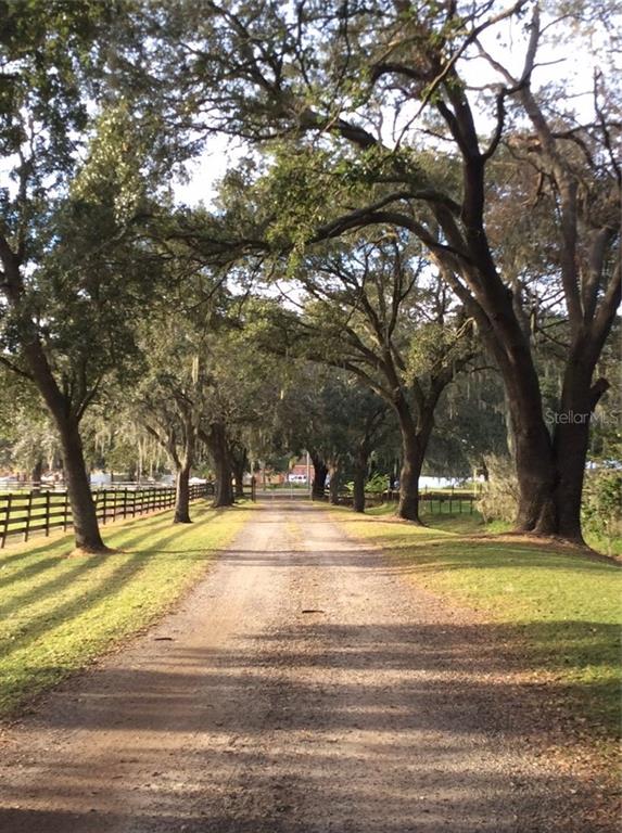 5907 Bob Head Road Plant City, FL 33565 - Photo 1 of 1 Gallery Image 1
