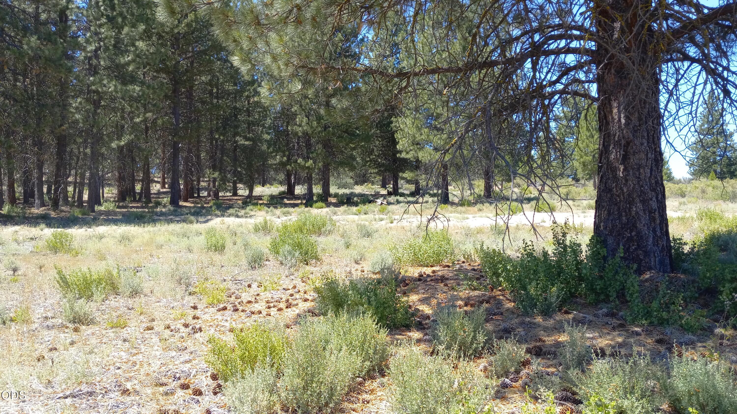0 Pine Ridge Loop, Unit LOT 11 Chiloquin, OR 97624 - Photo 7 of 9 Gallery Image 7