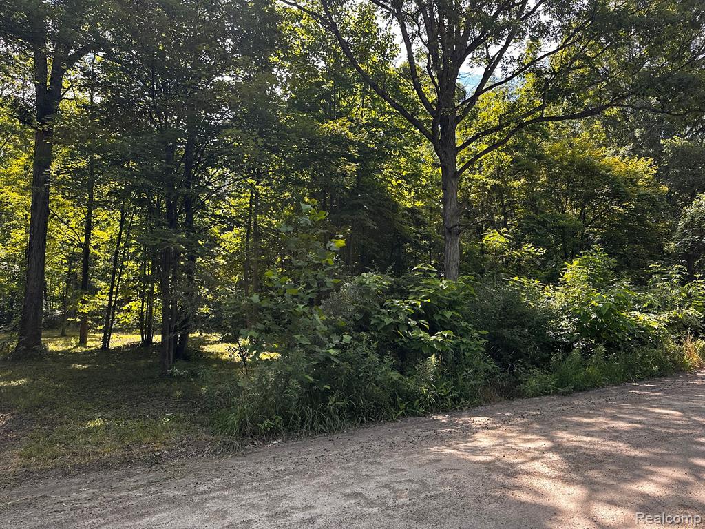 00000 Haggerty Road Belleville, MI 48111 - Photo 2 of 7