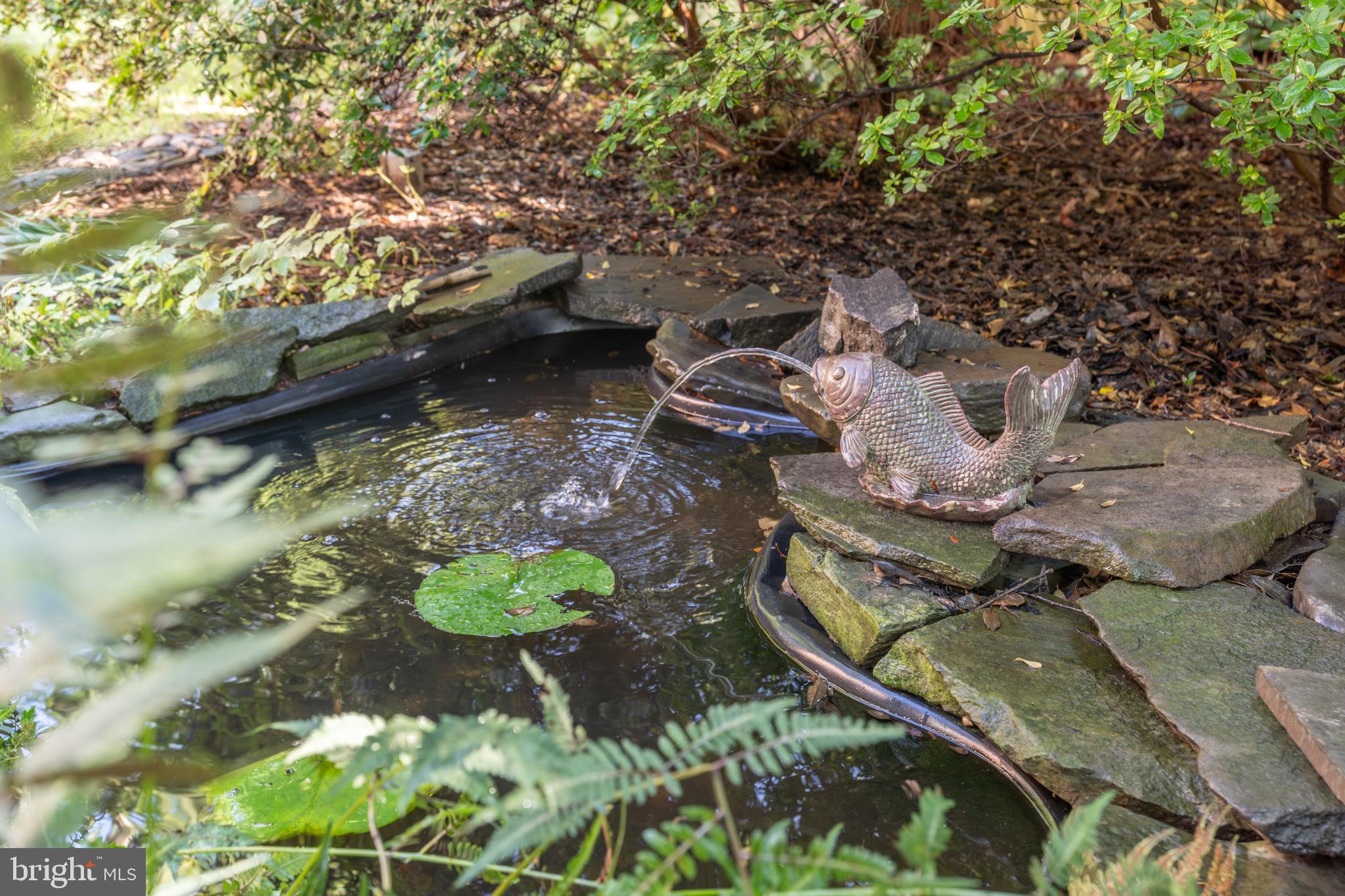 4920 Palisade Lane Northwest Washington, DC 20016 - Photo 24 of 70