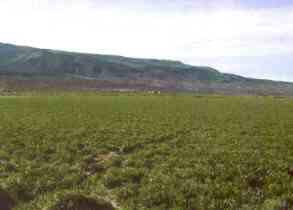 85-ac Angle Antimony, UT 84712 - Photo 1 of 1 Primary Photo