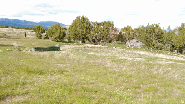 North Clear Spgs Road Park Valley, UT 84329 - Photo 6 of 15 View of mountain backdrop featuring rural landscape