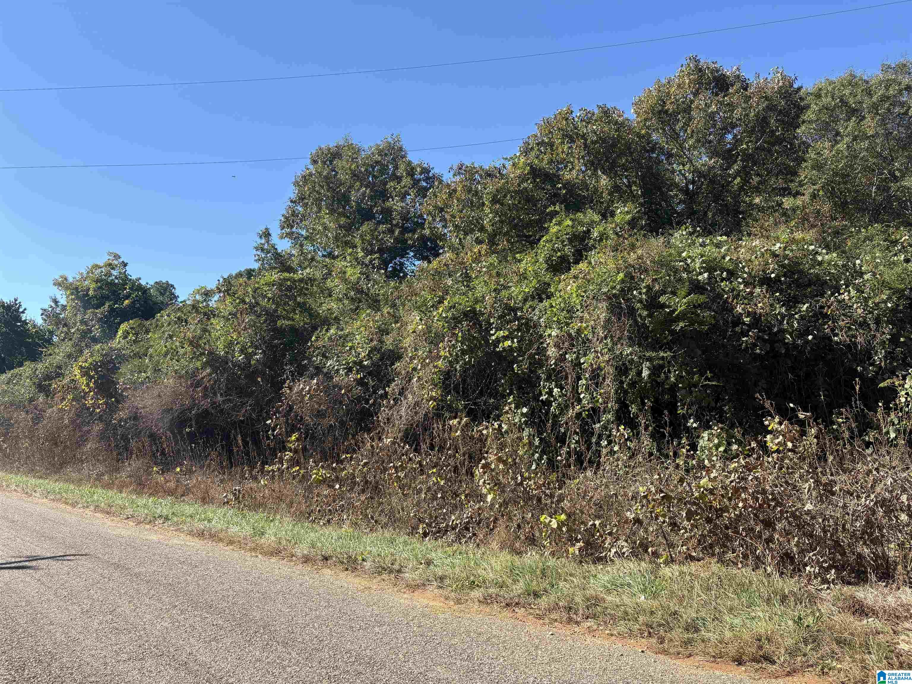 329 County Road, Unit 1 Wedowee, AL 36278 - Photo 2 of 5