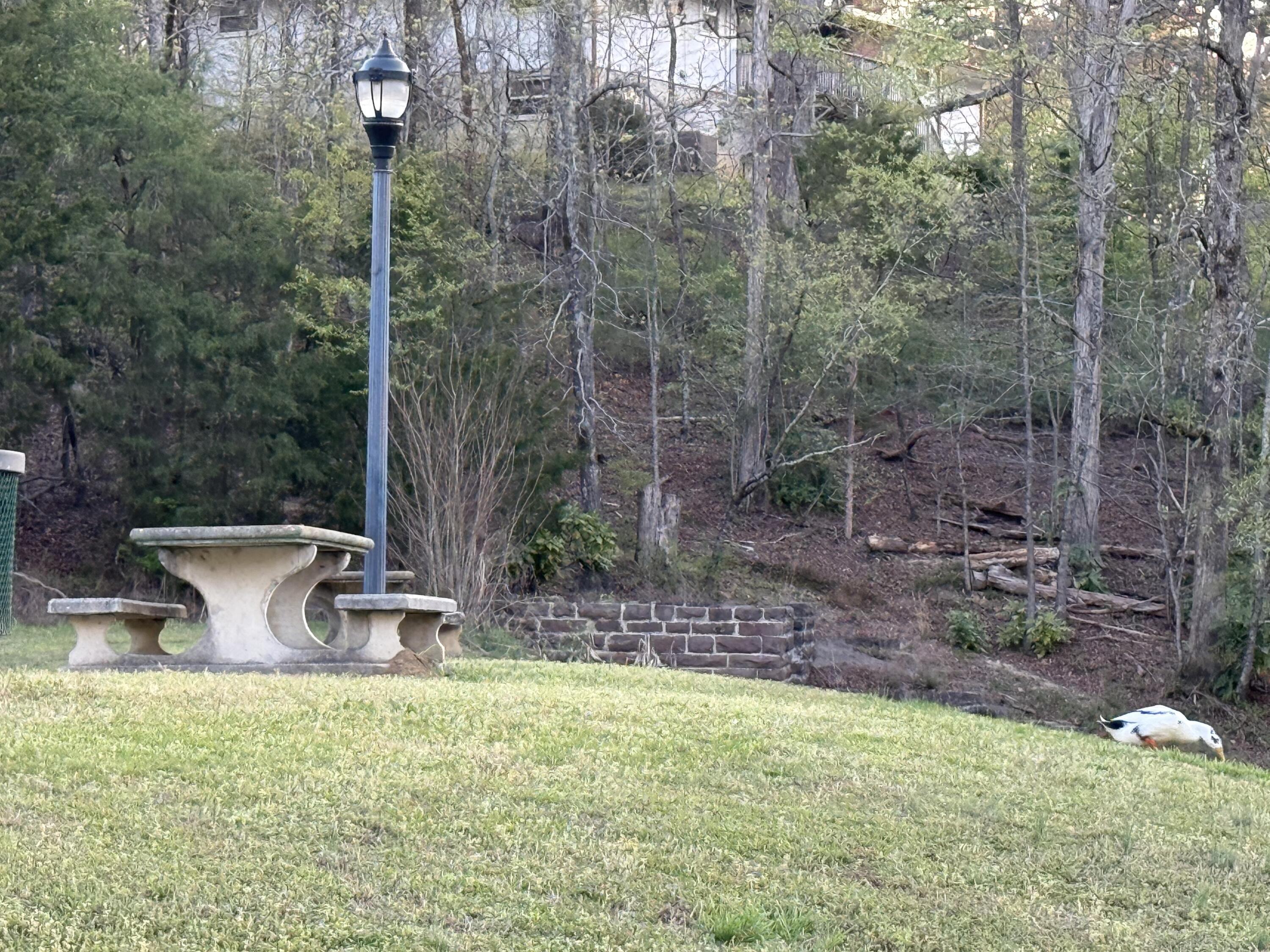 9309 Dividing Ridge Road Soddy-Daisy, TN 37379 - Photo 50 of 57 IMG_1517