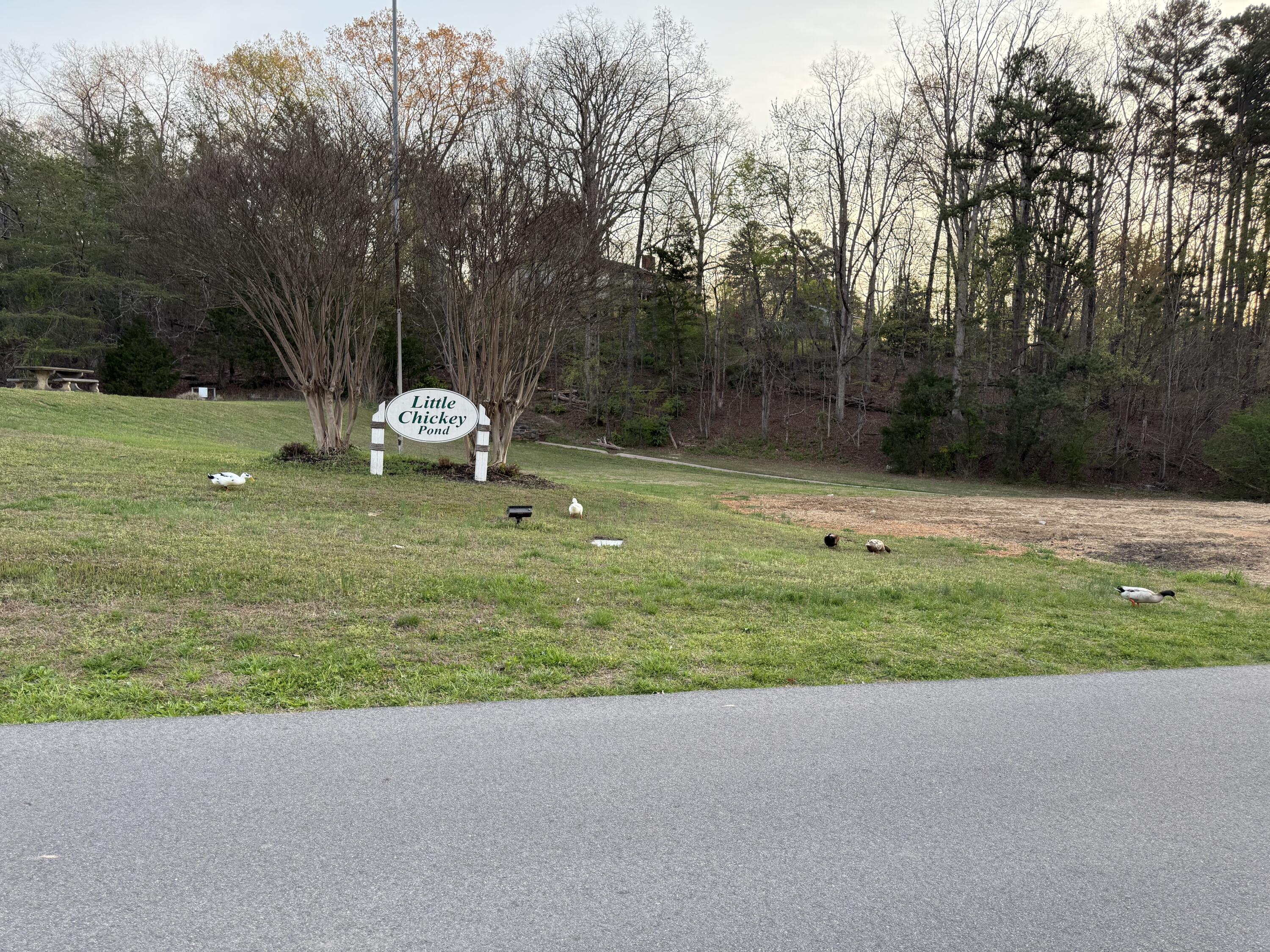 9309 Dividing Ridge Road Soddy-Daisy, TN 37379 - Photo 51 of 57 IMG_1519