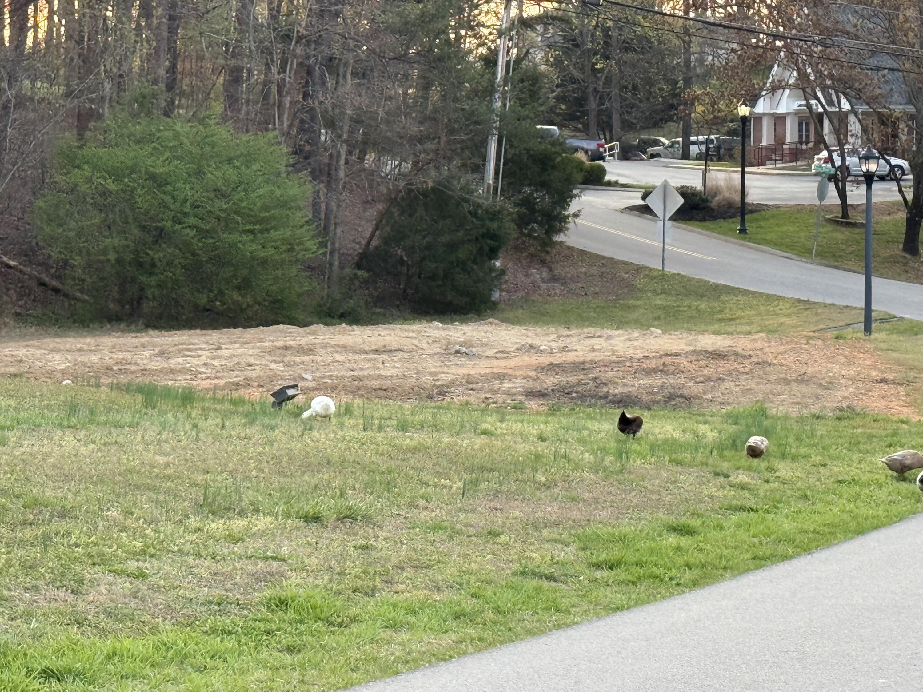 9309 Dividing Ridge Road Soddy-Daisy, TN 37379 - Photo 52 of 57 IMG_1516