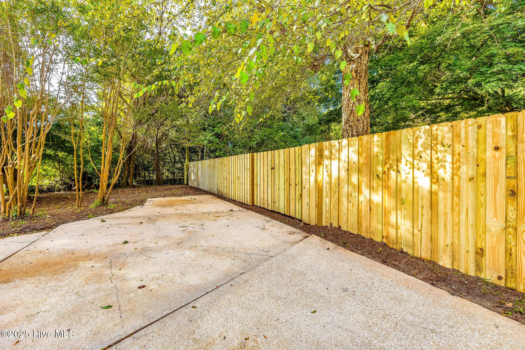 322 Windemere Road Wilmington, NC 28405 - Photo 38 of 46 1Q3A4197(3)-Edit--web-2