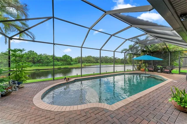 a view of a lake with a yard and palm trees