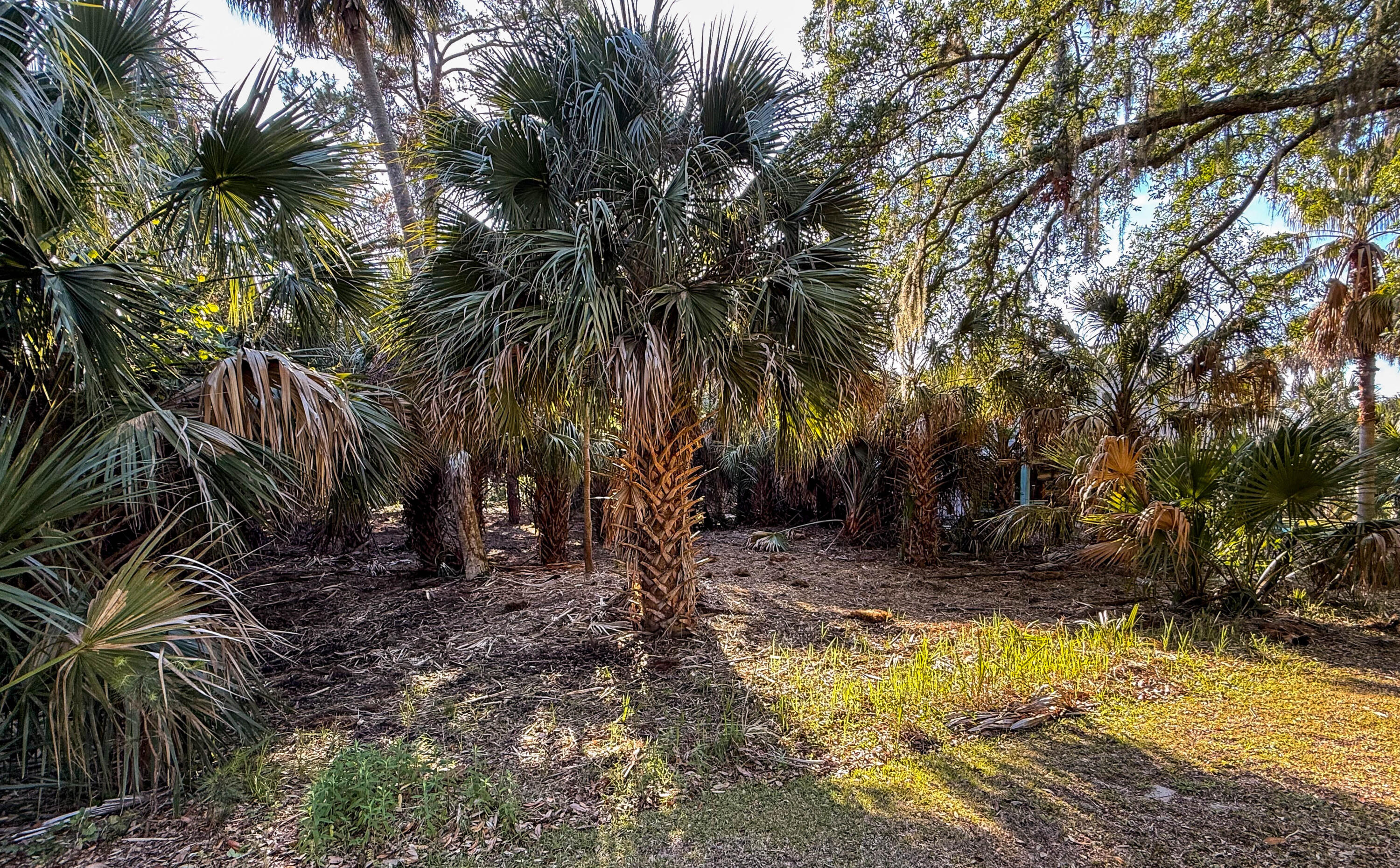 3303 Fort Street Edisto Island, SC 29438 - Photo 12 of 27 Fort-Lot-24