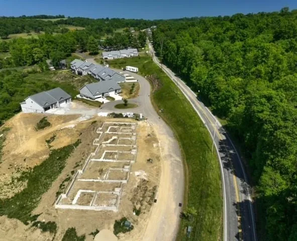 a view of yard with green space