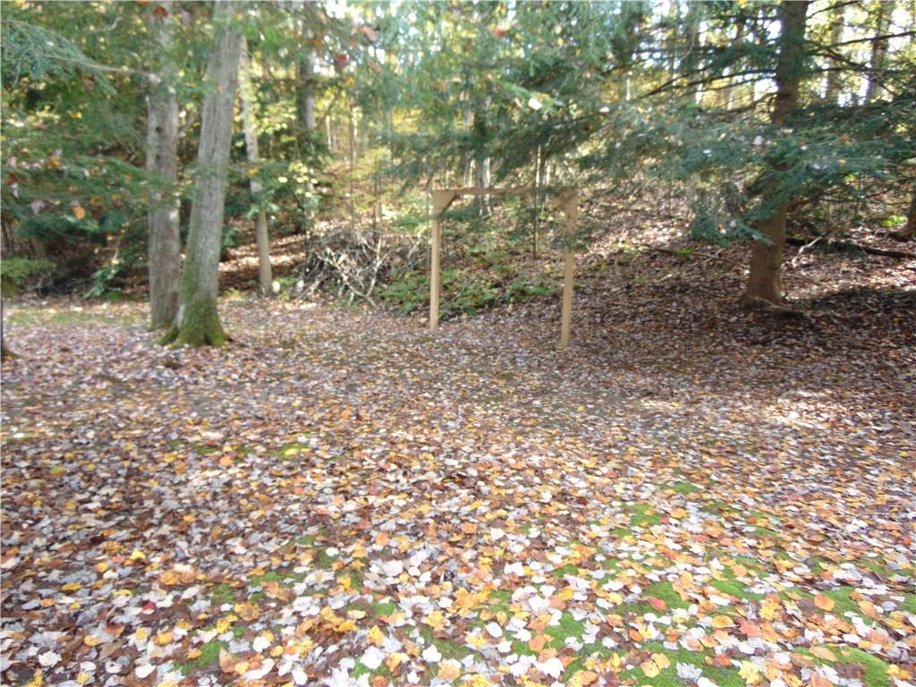 168 Bottom Road Mill Run, PA 15464 - Photo 5 of 26 a view of a forest with trees