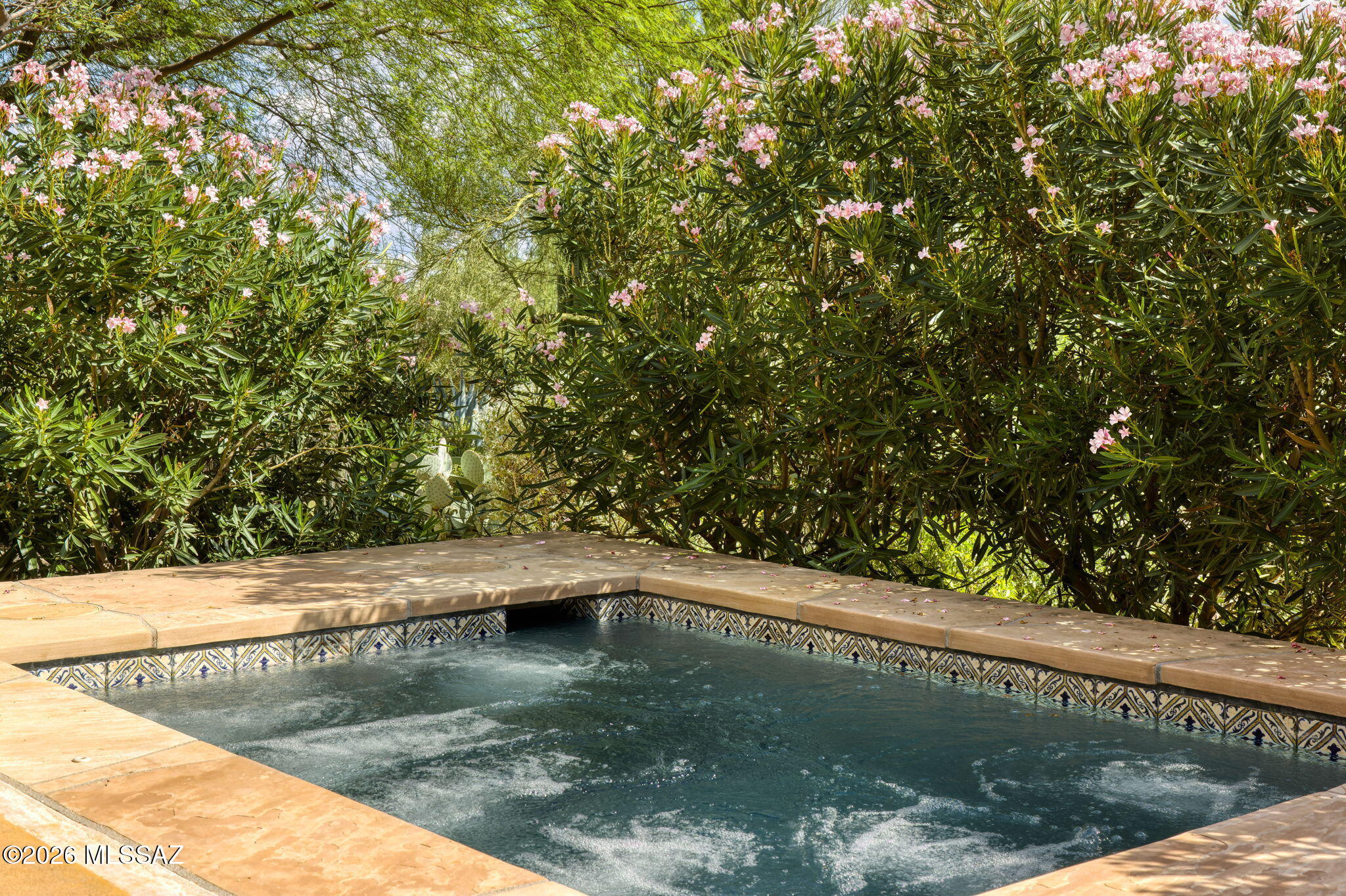 4560 East River Road Tucson, AZ 85718 - Photo 34 of 51 Spa w/cooling feature for summer