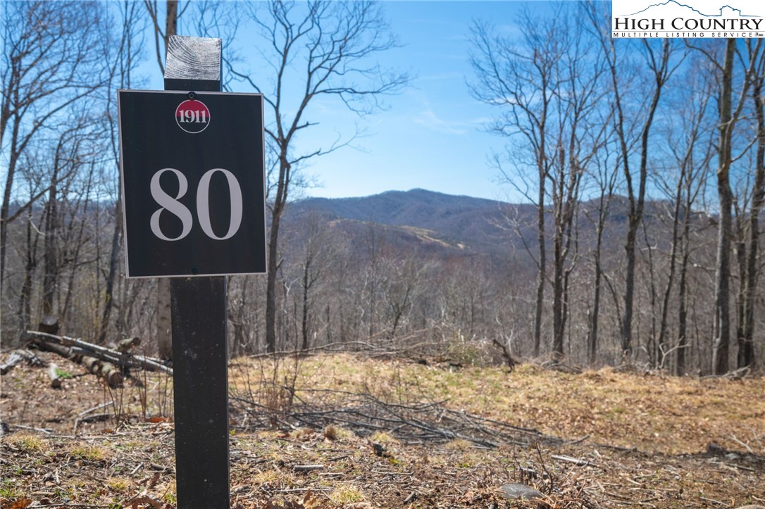 Lot 80 Bear Paw Road Elk Park, NC 28622 - Photo 1 of 19