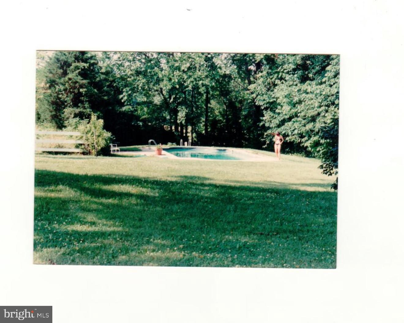 6015 Georgetown Road Broad Run, VA 20137 - Photo 12 of 51 view of pool