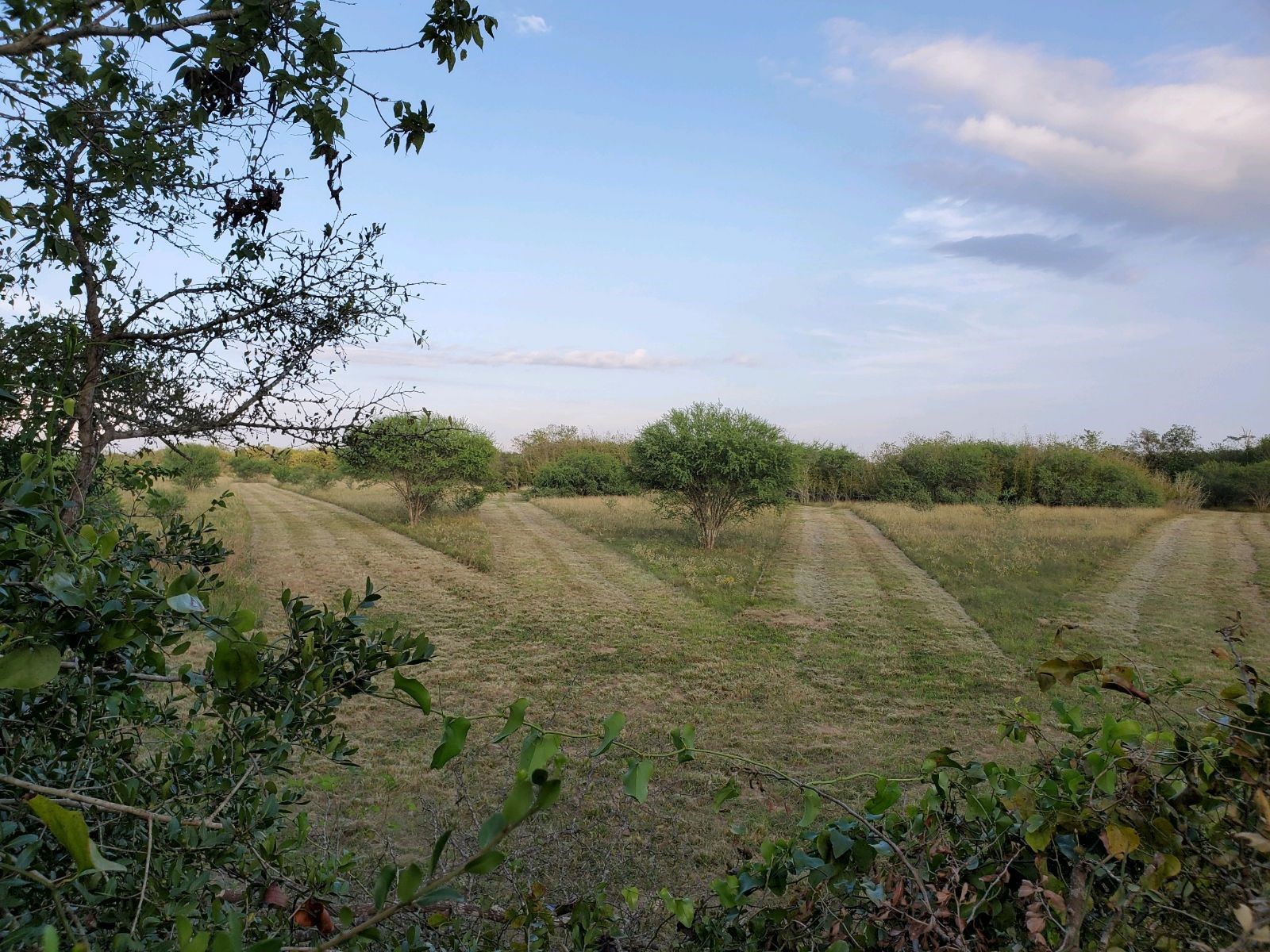 14029 Cochran Road Waller, TX 77484 - Photo 13 of 25