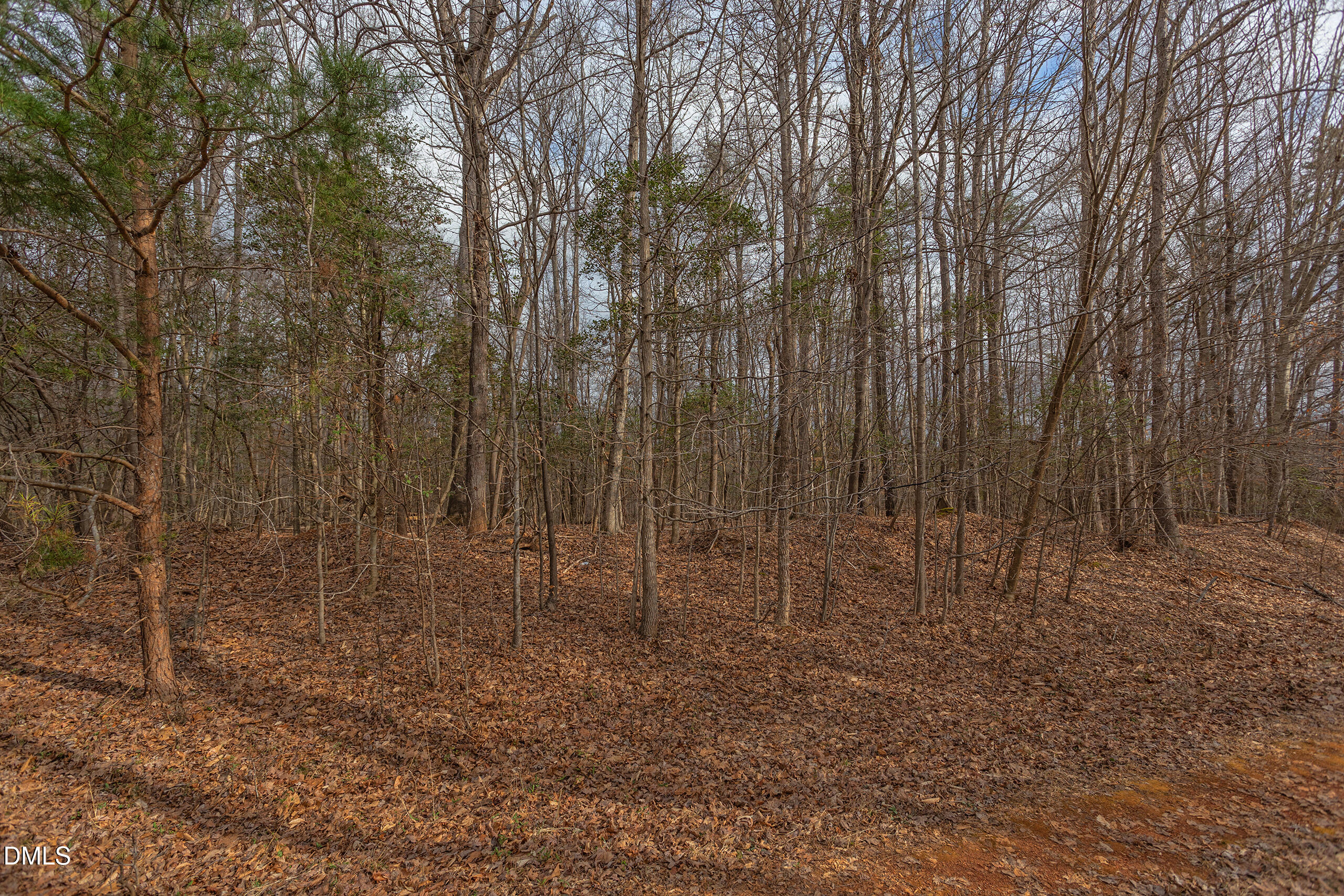 624 Bowen Road Rougemont, NC 27572 - Photo 7 of 20