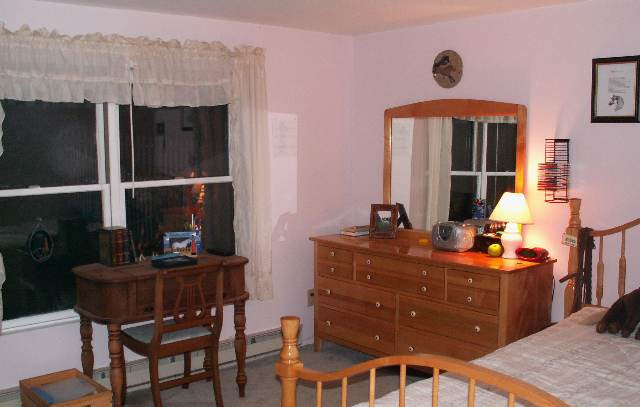 260 Thimbleberry Road Malta, NY 12020 - Photo 9 of 12 Photo 9