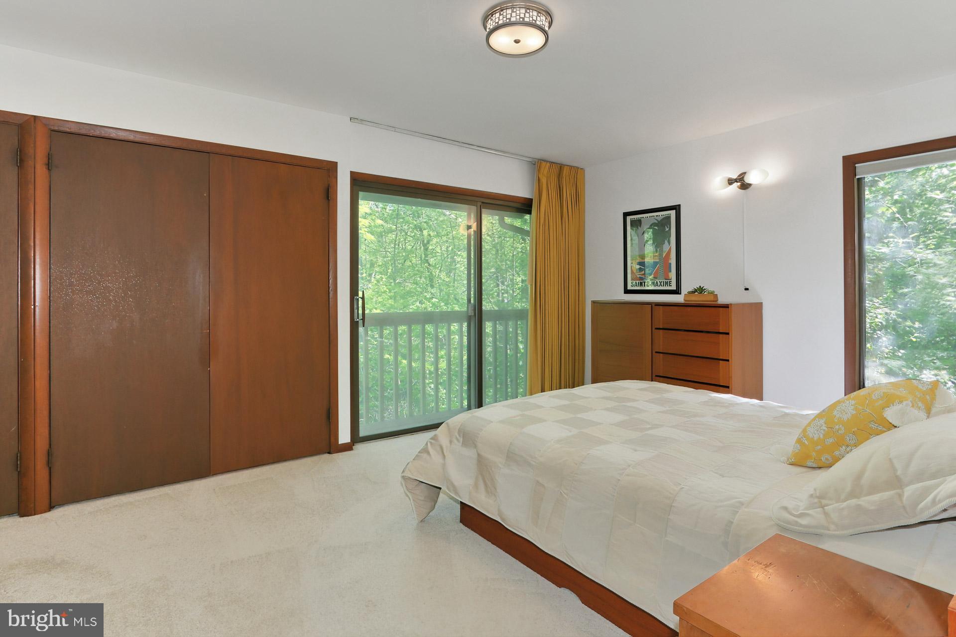 11302 Fieldstone Lane Reston, VA 20191 - Photo 20 of 48 Sliding Door to Juliet Balcony off Primary Suite